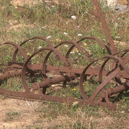 مبيت وإفطار Chéronnac Bachellerie المظهر الخارجي الصورة